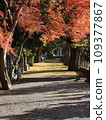 Shrine approach 2 109377867