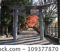 Shrine approach 1 109377870