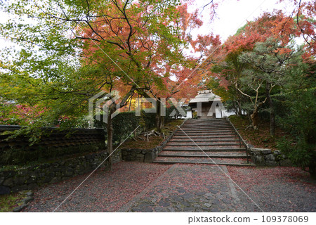 安樂寺山門的秋葉 安樂寺山門的秋葉 109378069