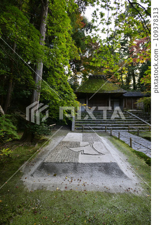 Honen-in Temple Shirasagodan Autumn leaves 109378313