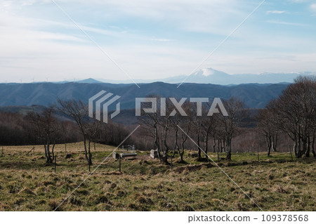 Pastureland in the Kitakami Highlands and mountains in Iwate Prefecture 109378568