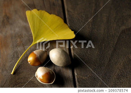 Ginkgo and leaves 109378574