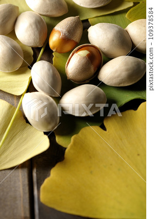 Ginkgo and leaves Ginkgo and leaves 109378584