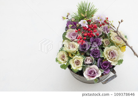 Planting peonies and New Year's flowers Planting peonies and New Year's flowers 109378646