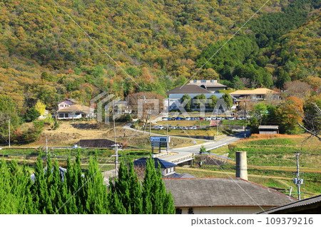 立奎的里山風景 109379216