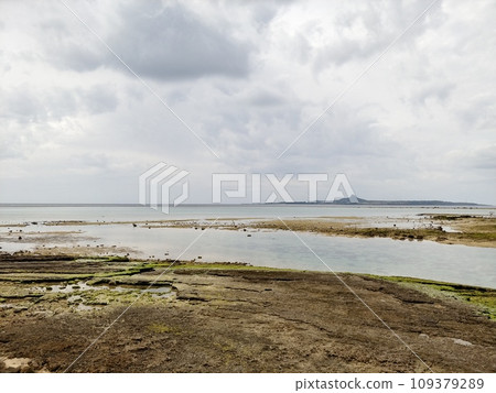 Motobu Town Bisezaki 7 Okinawa 109379289