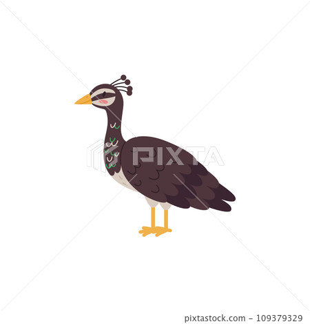 Beautiful peahen, female peacock, cartoon tropical brown bird vector isolated illustration of exotic peafowl mother Beautiful peahen, female peacock, cartoon tropical brown bird vector isolated illustration of exotic peafowl mother 109379329