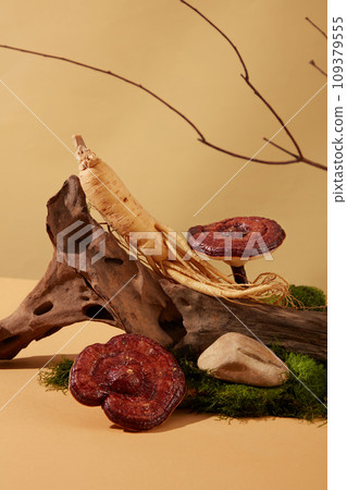 Ganoderma mushrooms and ginseng are displayed together on a log with green moss on a beige background. Two precious medicinal herbs are commonly used in oriental medicine. 109379555