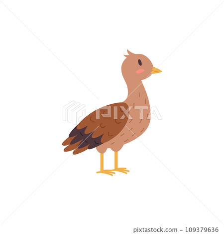Female peacock, brown bird, vector illustration on white, cartoon style 109379636