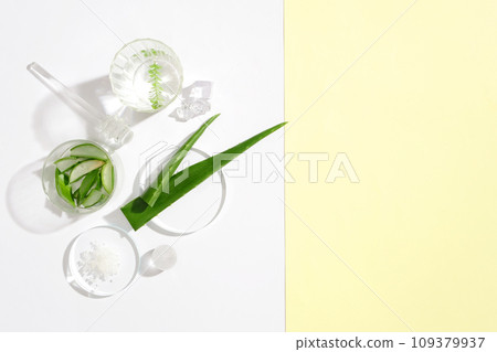 Glassware and fresh aloe vera are displayed on a white background. Pastel colored blank space for design. Fresh aloe vera contains many nutrients that have great applications in beauty. Glassware and fresh aloe vera are displayed on a white background. Pastel colored blank space for design. Fresh aloe vera contains many nutrients that have great applications in beauty. 109379937