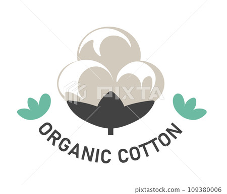 Natural and organic cotton, plant with blossom Natural and organic cotton, plant with blossom 109380006
