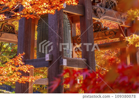 秋天透過楓葉可見的智積院鐘樓（京都市東山區） 109380078