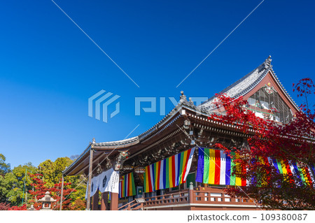 Autumn Chishaku-in, bright red maple leaves and Kondo (Higashiyama Ward, Kyoto City) 109380087
