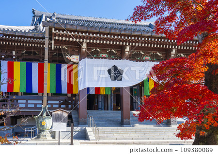 Autumn Chishaku-in, bright red maple leaves and Kondo (Higashiyama Ward, Kyoto City) 109380089