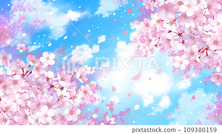 Cherry blossoms and blue sky background Spring landscape 16:9 Cherry blossoms and blue sky background Spring landscape 16:9 109380159