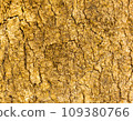 The background has a beautiful bark pattern 109380766