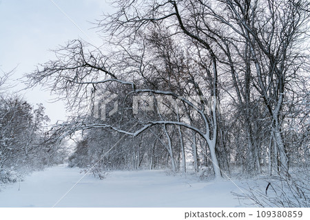 Country winter landscape 109380859