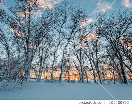 Country winter landscape at sunset Country winter landscape at sunset 109380893
