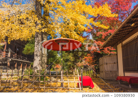 Autumn in Japan: Autumn leaves in Okusagano, Kyoto 109380930