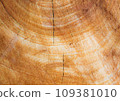 A beautiful wood pattern backdrop that can be used for a variety of purposes. 109381010
