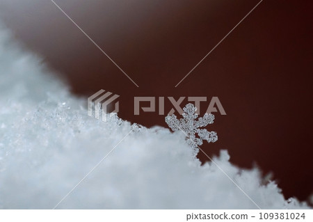 A beautiful real snowflake. Snow in nature. Macro photo in winter. Concept for Christmas and holidays. 109381024