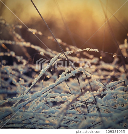Winter background. Landscape with nature. Abstract colorful background with snow and winter. Winter background. Landscape with nature. Abstract colorful background with snow and winter. 109381035