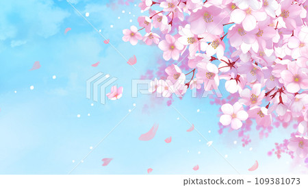 櫻花藍天背景櫻花暴風雪 16:9 109381073