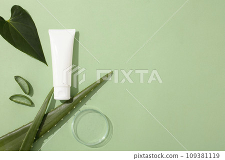 A white cosmetic tube is displayed with fresh aloe vera, green leaves and a transparent petri dish. Empty space for text design or product display. Treatment with natural ingredient. A white cosmetic tube is displayed with fresh aloe vera, green leaves and a transparent petri dish. Empty space for text design or product display. Treatment with natural ingredient. 109381119