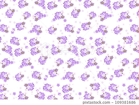 heliotrope flower background 109381686