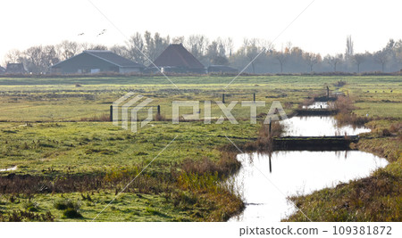 Typical dutch landscape; a farm with grasslands in front Typical dutch landscape; a farm with grasslands in front 109381872