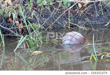 Old ball in the water 109381874