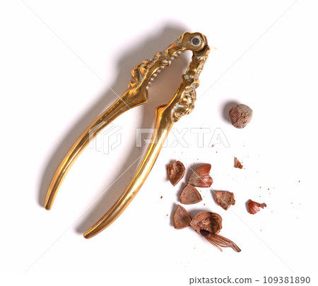 Large nut with vintage nutcracker 109381890