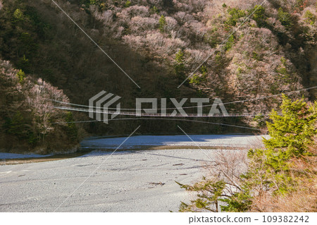 靜岡縣/畠岐吊橋和積滿土沙的「畠岐湖」[Oxys/Okuoi] 109382242