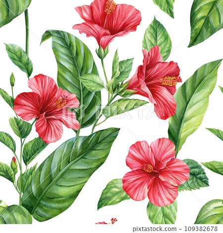 Tropical hibiscus flowers and Palm leaves on white background, watercolor botanical flora. Seamless patterns. 109382678