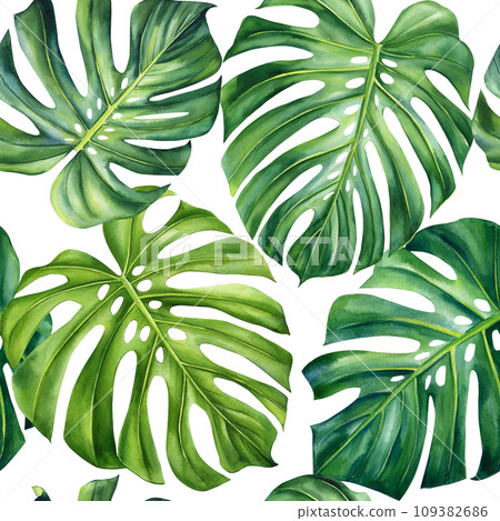 Tropical seamless pattern with monstera leaves.... - Stock Illustration ...
