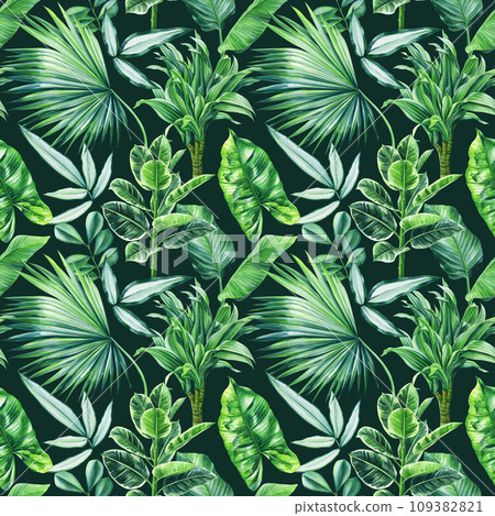 Tropical seamless pattern with palm Leaves, tropic plants on white background, watercolor botanical illustration Tropical seamless pattern with palm Leaves, tropic plants on white background, watercolor botanical illustration 109382821
