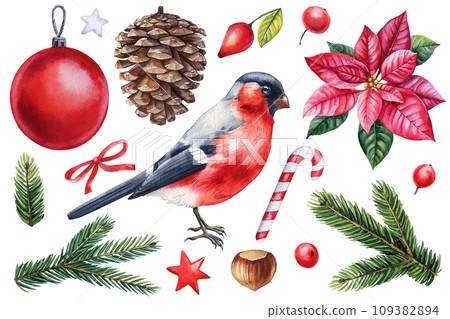 Winter bird watercolor isolated white background. Hand painted illustration. Bullfinch, pine cone and Christmas boll Winter bird watercolor isolated white background. Hand painted illustration. Bullfinch, pine cone and Christmas boll 109382894