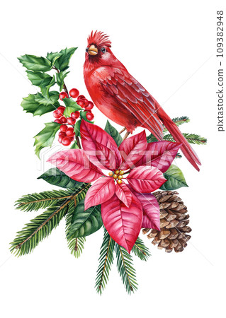 Red cardinal. Winter bird watercolor isolated on white background. Hand painted Christmas illustration Red cardinal. Winter bird watercolor isolated on white background. Hand painted Christmas illustration 109382948