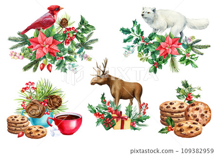 Bird, animal and sweet, holly branches, pine cone and star flower. drawn in watercolor postcard, poster 109382959