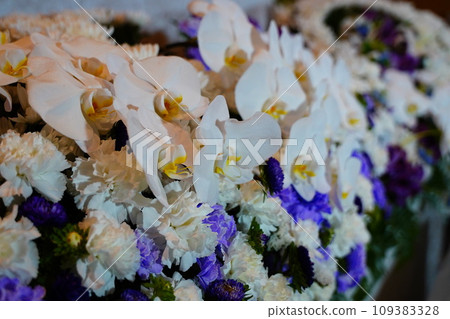 Fashionable flower altar with Phalaenopsis orchid 109383328