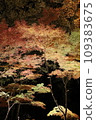 Light up of autumn leaves 109383675
