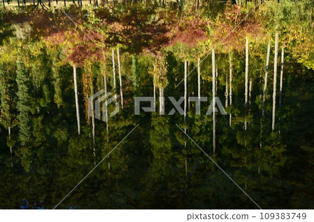 埼玉縣嵐山町，武藏秋葉 嵐山谷月川上的秋葉倒影 109383749