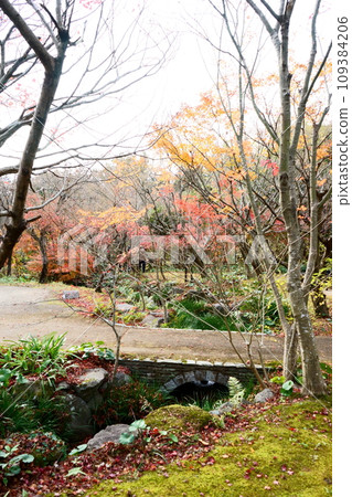 Fall landscape 109384206