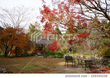 Arbor surrounded by autumn leaves 109384208