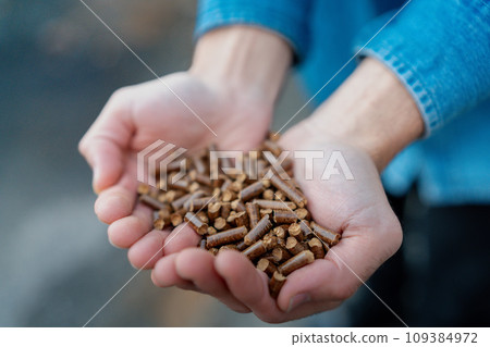 Handful of wood pellets in palms. Man holding pellet fuels in hands, palms. Reusing wooden industrial waste. 109384972