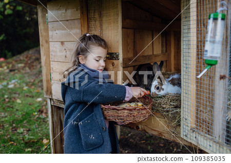 Girl feeding pet rabbit, giving it vegetables from the garden and old bread. 109385035