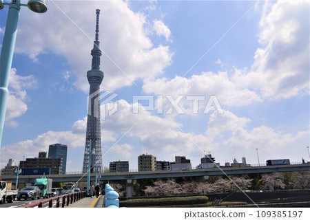 在盛開和天空樹的櫻花 在盛開和天空樹的櫻花 109385197