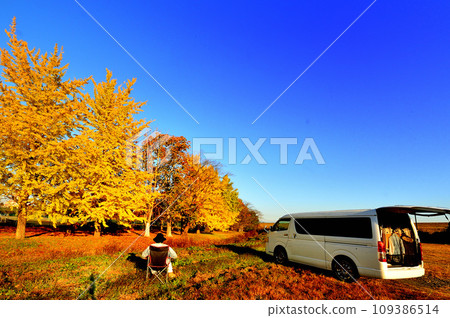 Van Life 秋葉 銀杏樹（櫪木縣） 109386514