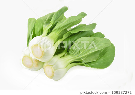 Bok choy vegetable isolated on the white background. 109387271