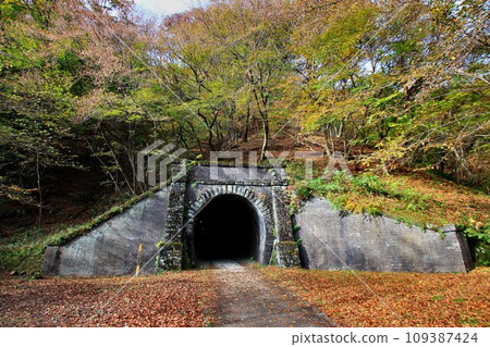 Opened in the Meiji era... Tunnel that crosses Usui Pass [Shin-Etsu Main Line/Old Line "Usui Line"] 109387424